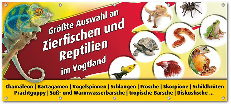 zoo gerstner 4 neu